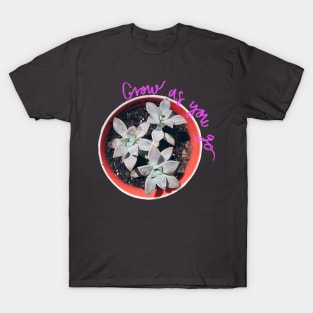 Succulent Grow as you go Pink T-Shirt